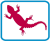 Reptile & frog species